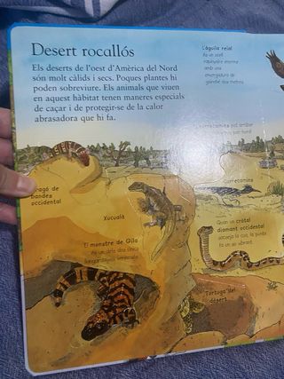 Animals del mon (TIC TAC) (Catalan Edition)