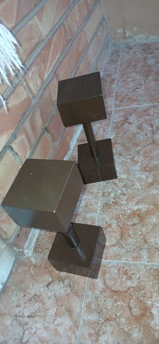 Mancuernas 5kg - Pesas de mano