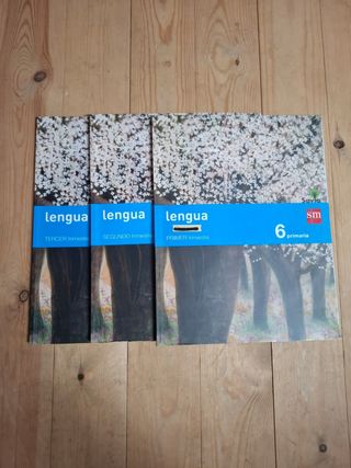 Lengua. 6 Primaria. Savia (Spanish Edition)