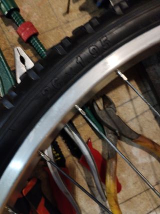 Rueda Trasera( 26)×1.95..Shimano.