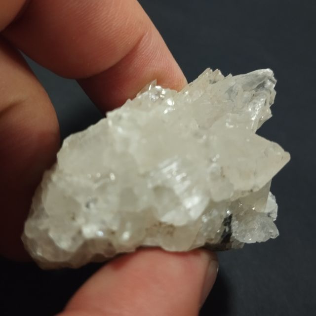 Calcite dentale per cani