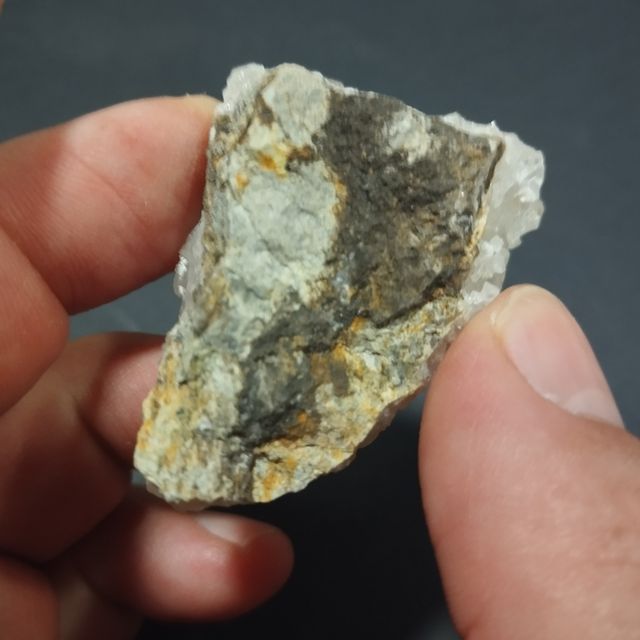 Calcite dentale per cani