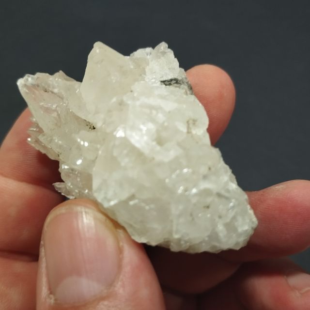Calcite dentale per cani
