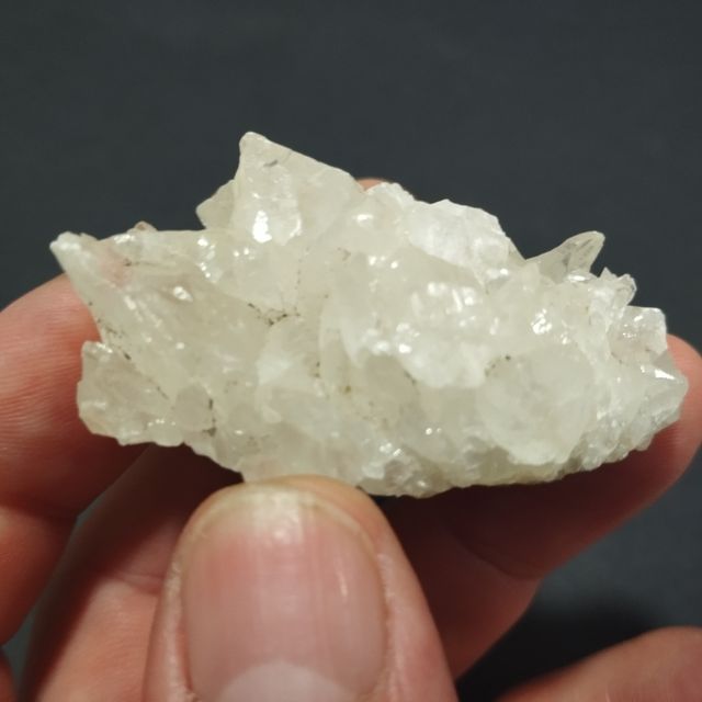 Calcite dentale per cani