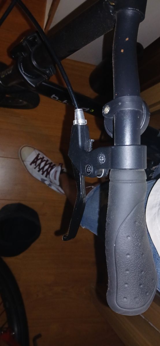 Bicicleta Urbana Negra