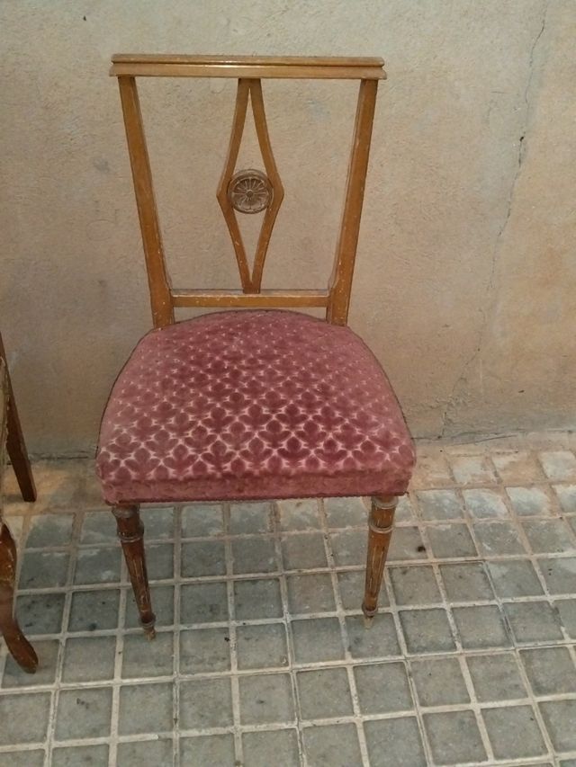 Sedie in stile Luigi XVI