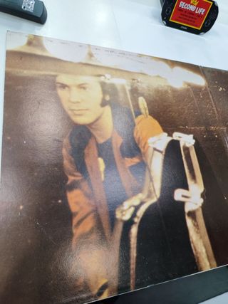 Vinilo Adamo en Español