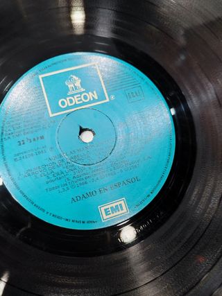 Vinilo Adamo en Español