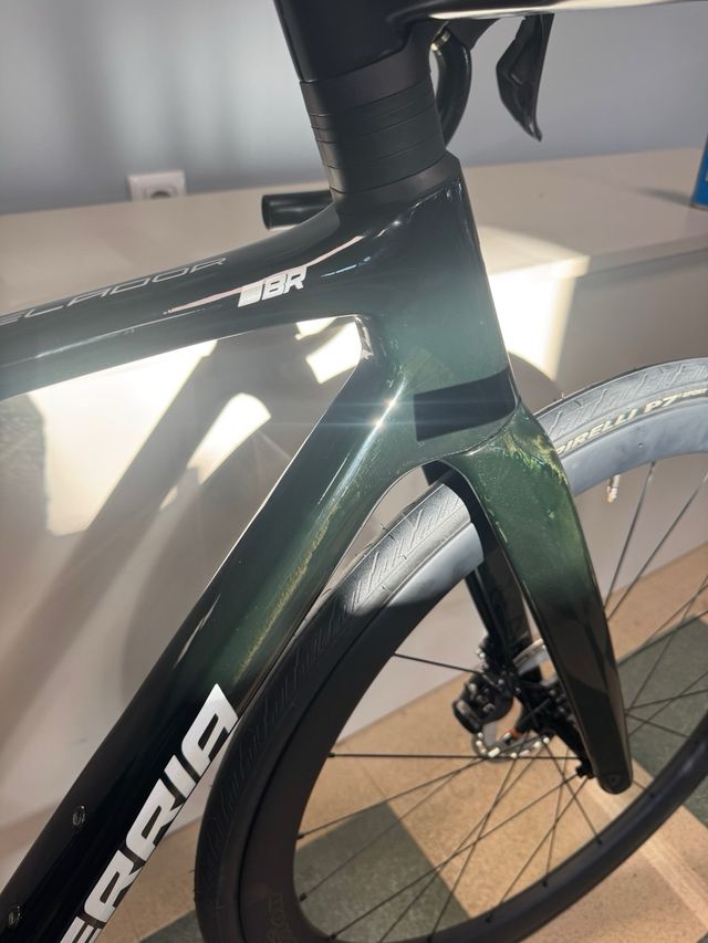 BERRIA BELADOR BR 2025