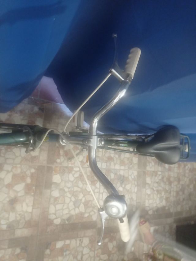 *Bicicleta vintage verde*