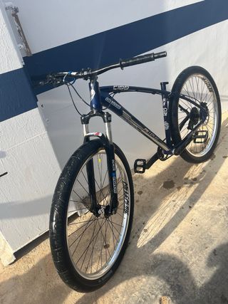 Bicicleta C100 
