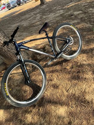 Bicicleta C100 