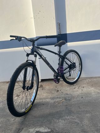 Bicicleta C100 