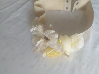 Conjunto para eventos