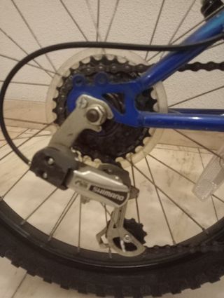 Bicicleta infantil azul The Best