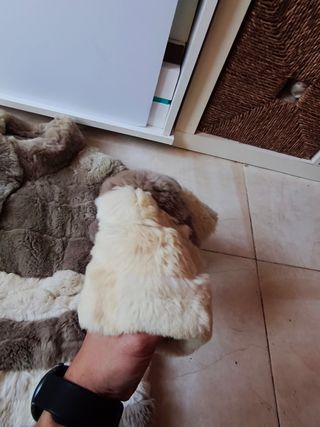 Chaquetón de conejo beige y crema