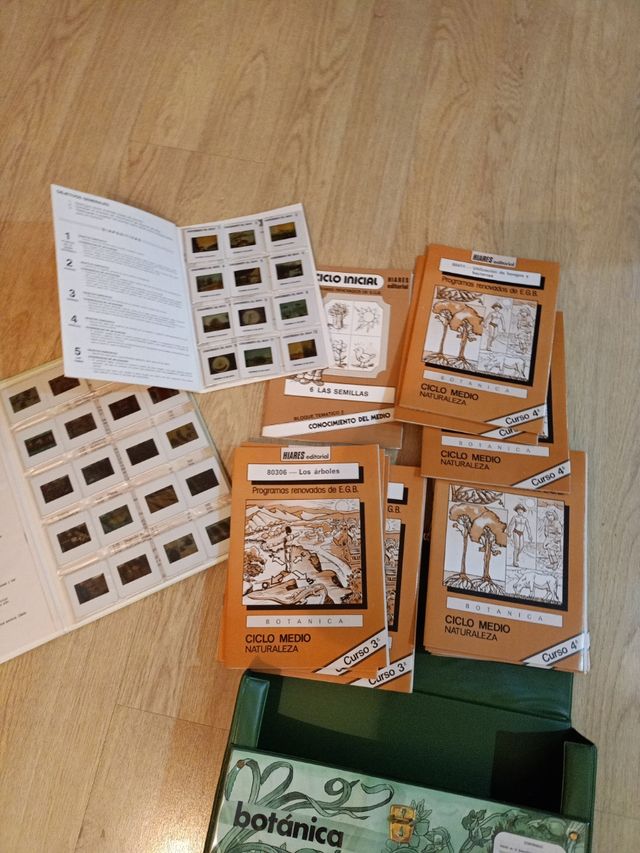 Diapositivas Botánica Ciclo Inicial