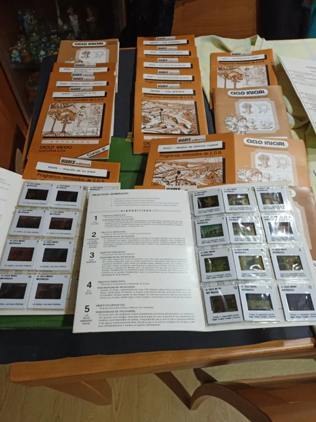 Diapositivas Botánica Ciclo Inicial