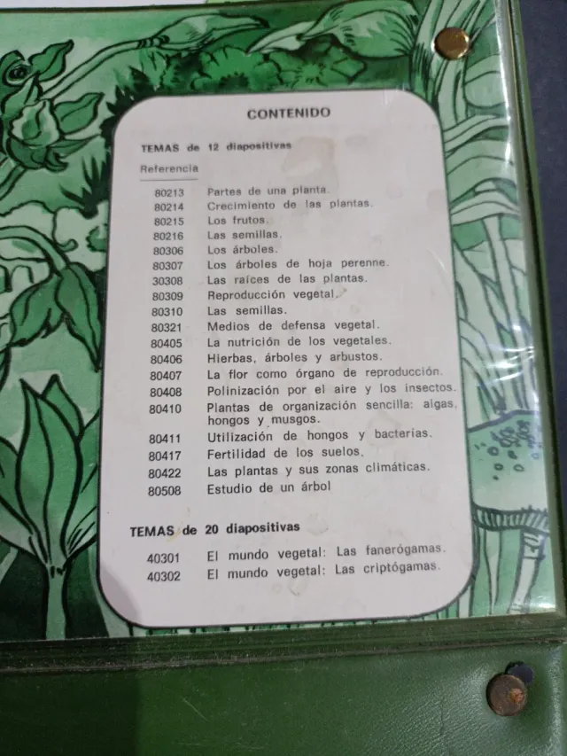 Diapositivas Botánica Ciclo Inicial