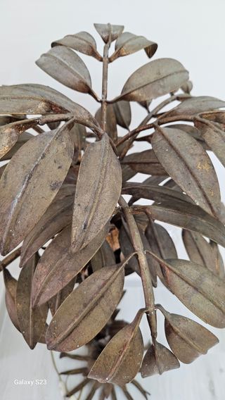 Lampada da terra palma Hans Kogl