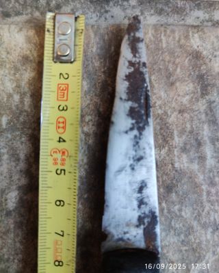 2 COLTELLI PIEGHEVOLI/COLTELLI (VINTAGE)