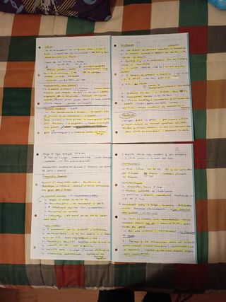 Apuntes Prehistoria de la Península Ibérica