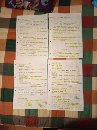 Apuntes Prehistoria de la Península Ibérica