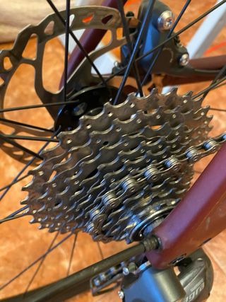 Bicicleta Specialized Roubaix talla 54 2023