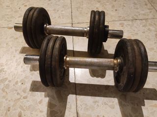 Pesas Domyos