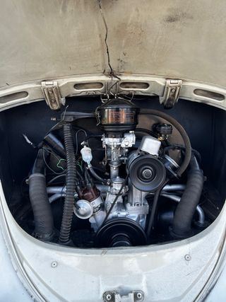 Volkswagen Beetle 1964