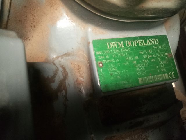 Motor de congelación