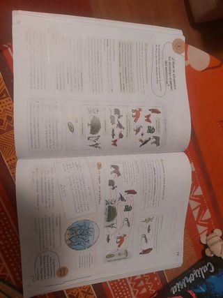 Ciencias de la Naturaleza 6