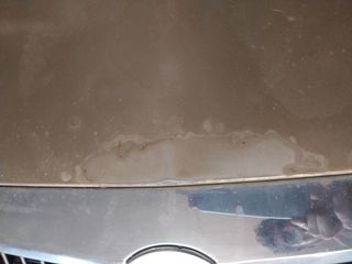 Capó Lancia Phedra 2.2 del 2005