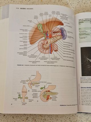 TRATADO DE CIRUGIA-SABISTON