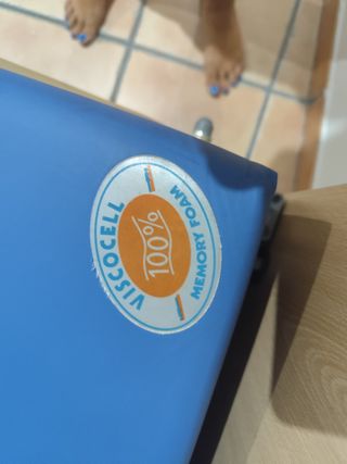 Cama Ortopédica Eléctrica