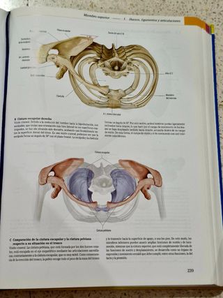 PROMETHEUS-Texto y atlas de anatomia. Tomo I.