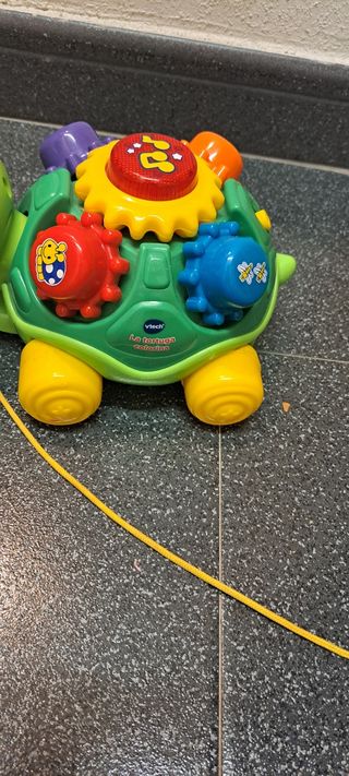 Tortuga Musical Infantil
