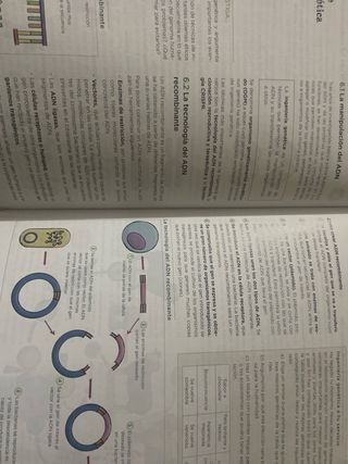 Biología y Geología 4•ESO.