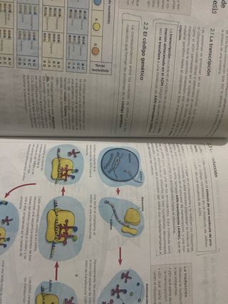 Biología y Geología 4•ESO.
