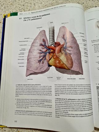 PROMETHEUS-Texto y atlas de anatomia. Tomo II.