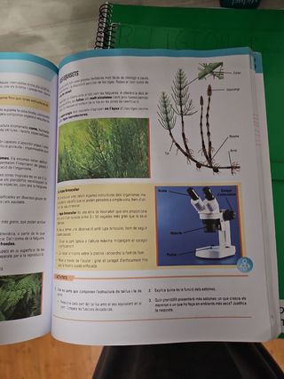 BIOLOGIA I GEOLOGIA 1