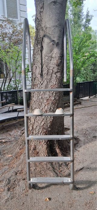 Escalera de piscina metálica