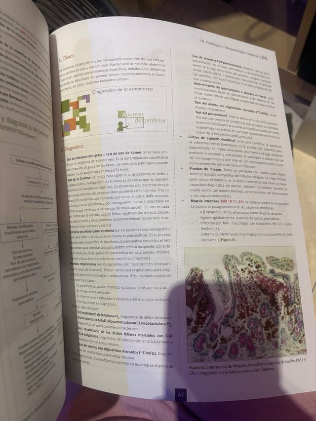 Manual CTO de Medicina y Cirugía 11ª Ed.