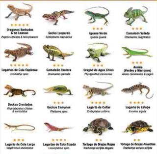 Lámpara UV ExoTerra tortuga/lagartos/anfibios