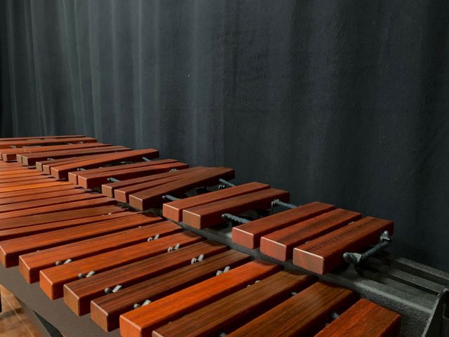 Marimba Vancore PSM 501. NO SE HACEN ENVÍOS.