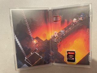 Minecraft Dungeons Hero Edition Switch