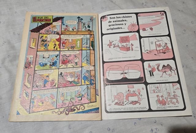 Tio Vivo Hola Primavera