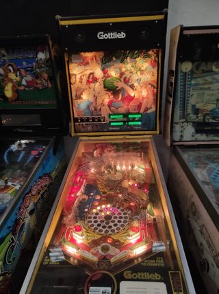 Pinball Gottlieb Cactus Jack