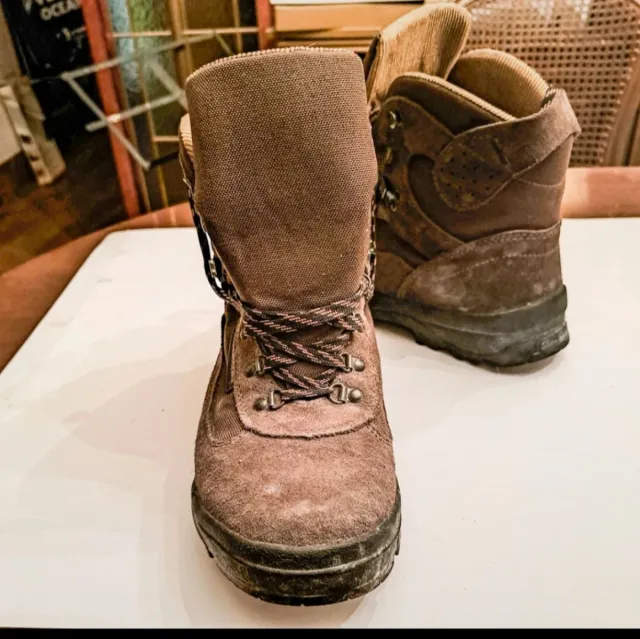 Botas de senderismo Salomon Fronterra 5GTX Marrón.