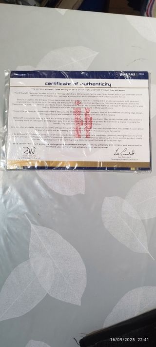 Volante y Pedales Racing Wheel Williams F1 Team.